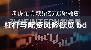 杠杆与配资风险概览 bd