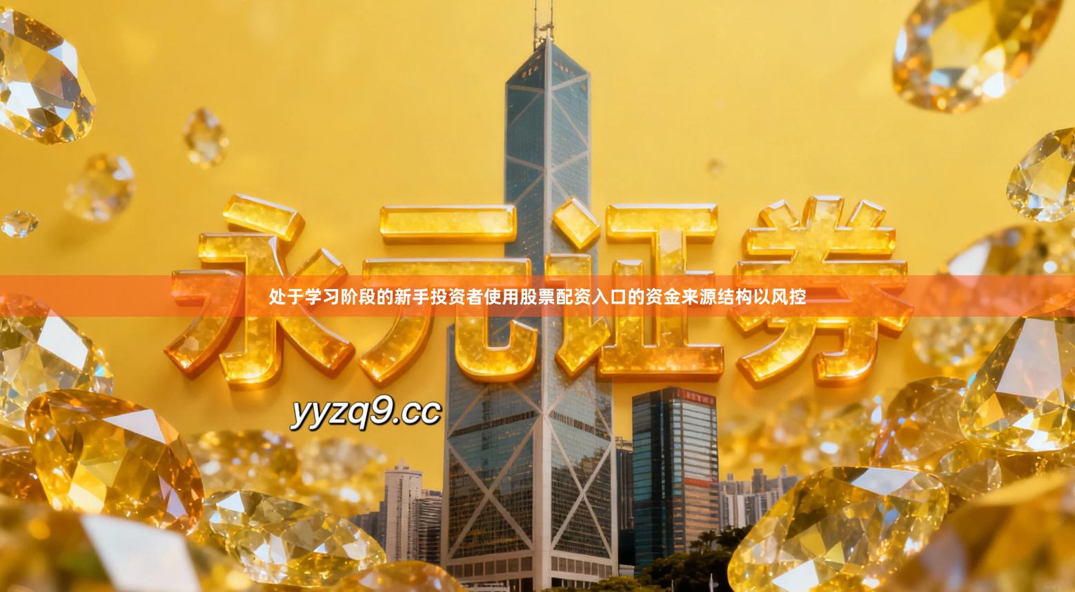 处于学习阶段的新手投资者使用股票配资入口的资金来源结构以风控