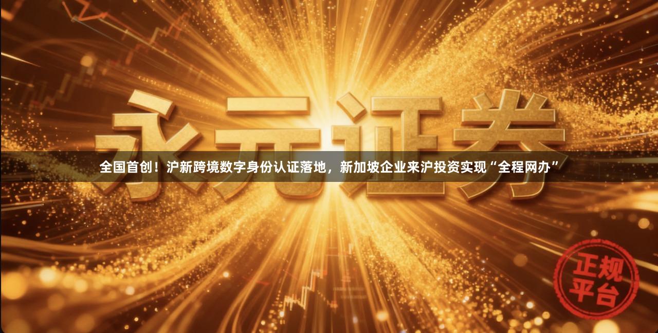 全国首创！沪新跨境数字身份认证落地，新加坡企业来沪投资实现“全程网办”